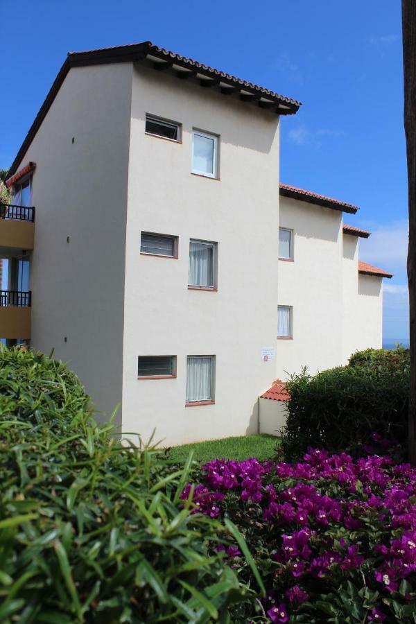 Holidaynorthtenerife Exotic Apartament Los Realejos Kültér fotó