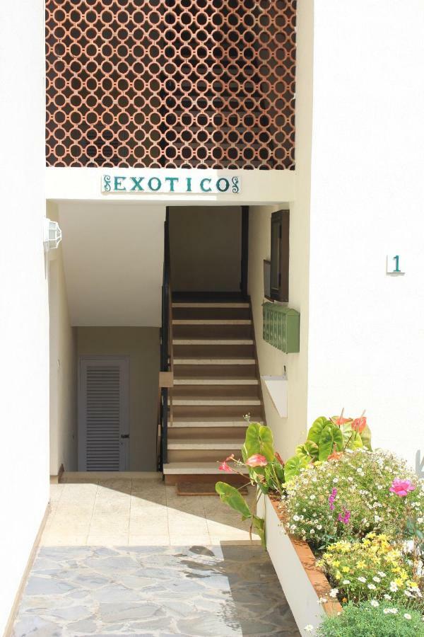 Holidaynorthtenerife Exotic Apartament Los Realejos Kültér fotó