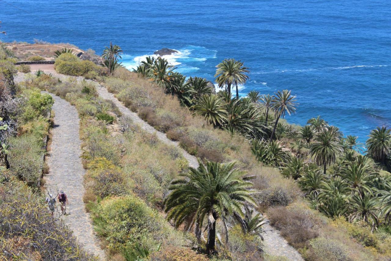 Holidaynorthtenerife Exotic Apartament Los Realejos Kültér fotó